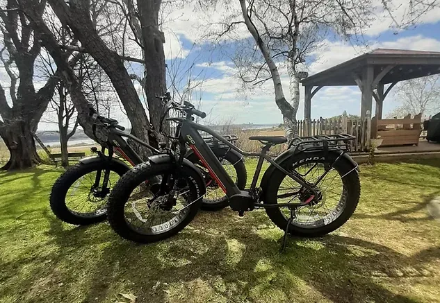 Deux vélos fat bike disponibles pour explorer l’île